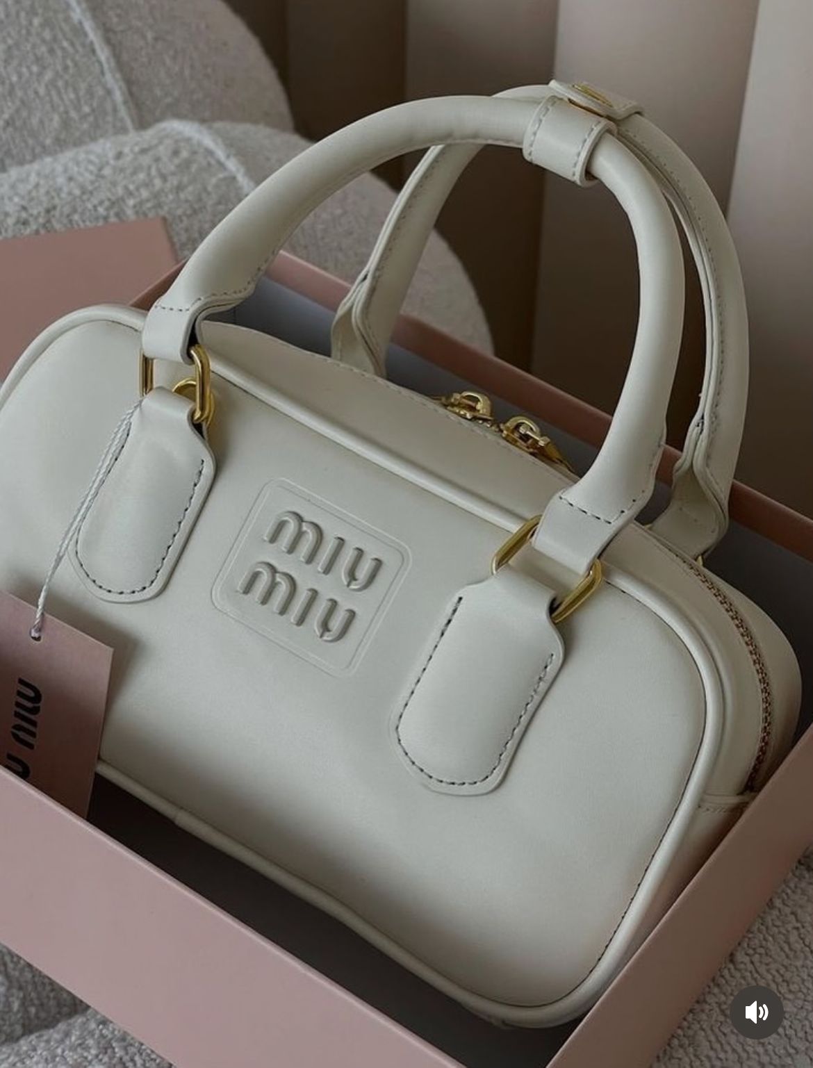 Miu Miu Arcadie Leather Bag